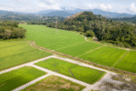Thai land ownership